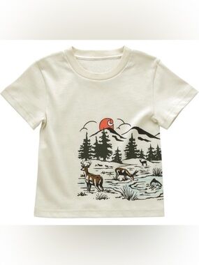 4T Carhartt Boys Turtledove Outdoor Short Sleeve shirt